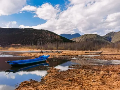 Casilando Casino Mobile App